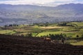 Man who plows the field near to San Juan de Pasto.