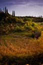 Pastoral Autumn Landscape Environment Royalty Free Stock Photo