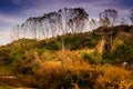 Pastoral Autumn Landscape Environment Royalty Free Stock Photo