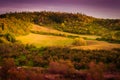 Pastoral Autumn Landscape Environment Royalty Free Stock Photo