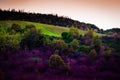 Pastoral Autumn Landscape Environment Royalty Free Stock Photo