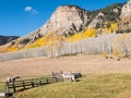 Pastoral Autumn scenery, western Colorado Royalty Free Stock Photo