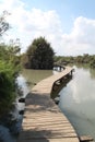 Pastoral Bridge over a Lake and Flora