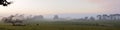 Pastoral farm panorama Royalty Free Stock Photo
