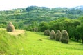 Pastoral landscape (Maramures, Romania) Royalty Free Stock Photo