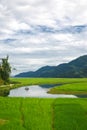 pastoral landscape under clouds sky