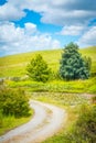 Pastoral rural landscape with gravel road winding past lily pond towards green hills.