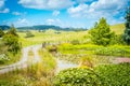 Pastoral rural landscape with gravel road winding past lily pond towards lush green rolling hills. Royalty Free Stock Photo