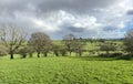 Pastoral scene in, Lower Wyke, Yorkshire, UK