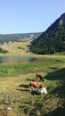 Pastoral Village and mountain lake Royalty Free Stock Photo