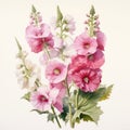 Pastoral Watercolor Illustrations Of Pink And White Flowers
