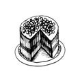 Pastries pastries cakes cupcakes vector graphics v engraving sketch