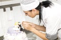 Pastry chef decorates a cake