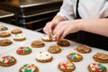 pastry chef decorates holiday cookies with sprinkles and icing