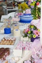 Pastry children`s party detail, cake delight and snacks, sweet desserts at children`s party.