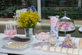 Pastry children`s party detail, cake delight and snacks, sweet desserts at children`s party.