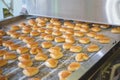 Pastry on conveyor line, food production factory, close up Royalty Free Stock Photo