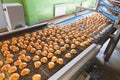 Pastry on conveyor line, food production factory, close up Royalty Free Stock Photo