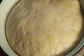 Pastry dough, yeast dough for pies