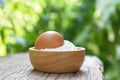 Pastry flour on wooden bowl nature green background - homemade flour egg cooking ingredients on table Royalty Free Stock Photo