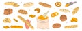 Pastry products. Breads and pastry banner. Whole grain and wheat bread, pretzel, ciabatta, croissant, french baguette