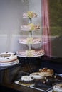 Pastry shop showcase. Different types of cakes and pies in the bakery display window