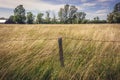 Summer view on a meadow in Poland Royalty Free Stock Photo