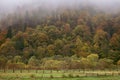 Pasture in autumn mountains. Valley of Carpathian mountains in fog. Meadow behind wooden fence in forest, Ukraine Royalty Free Stock Photo