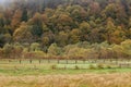 Pasture in autumn mountains. Valley of Carpathian mountains in fog. Meadow behind wooden fence in forest, Ukraine Royalty Free Stock Photo