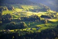 Pasture in Autumn in South Tyrol (Italy)