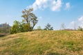 Pasture dry slope forest and sky Royalty Free Stock Photo