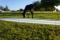 pasture fence at paddock Royalty Free Stock Photo