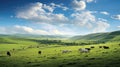 pasture field of cows Royalty Free Stock Photo