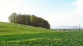 Pasture and field