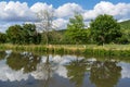 pasture and forested hillside along nivernais canal at chevroches