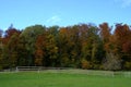 Pasture or grazing land with enclosures for cattle with a deciduous forest in various autumn colors on the background Royalty Free Stock Photo