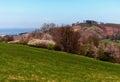 Pasture,hills and blossoming trees and bushes in spring