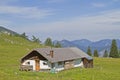 Pasture Laerchkogel Royalty Free Stock Photo