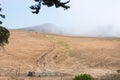 Ranch land near the central California coast Royalty Free Stock Photo