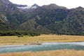 Pasture in Matukituki Valley Royalty Free Stock Photo