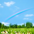 Pasture rural landscape with beauty flowers