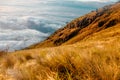 the view of the mountain slope yellow grass in summer