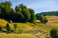 Pasture and shed on the hillside