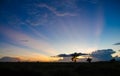 Pasture silhouette with a colorful sunset background Royalty Free Stock Photo