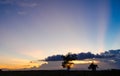 Pasture silhouette with a colorful sunset background