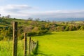 On the pasture, Smardale Gill, Great Britain Royalty Free Stock Photo