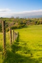 On the pasture, Smardale Gill, Great Britain Royalty Free Stock Photo