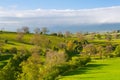 On the pasture, Smardale Gill, Great Britain Royalty Free Stock Photo