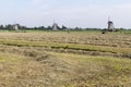 Pasture with three windmills. Royalty Free Stock Photo