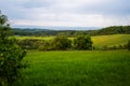 Pastureland in sunset, grass, wood, shrub, meadow and tree near Zlin Royalty Free Stock Photo